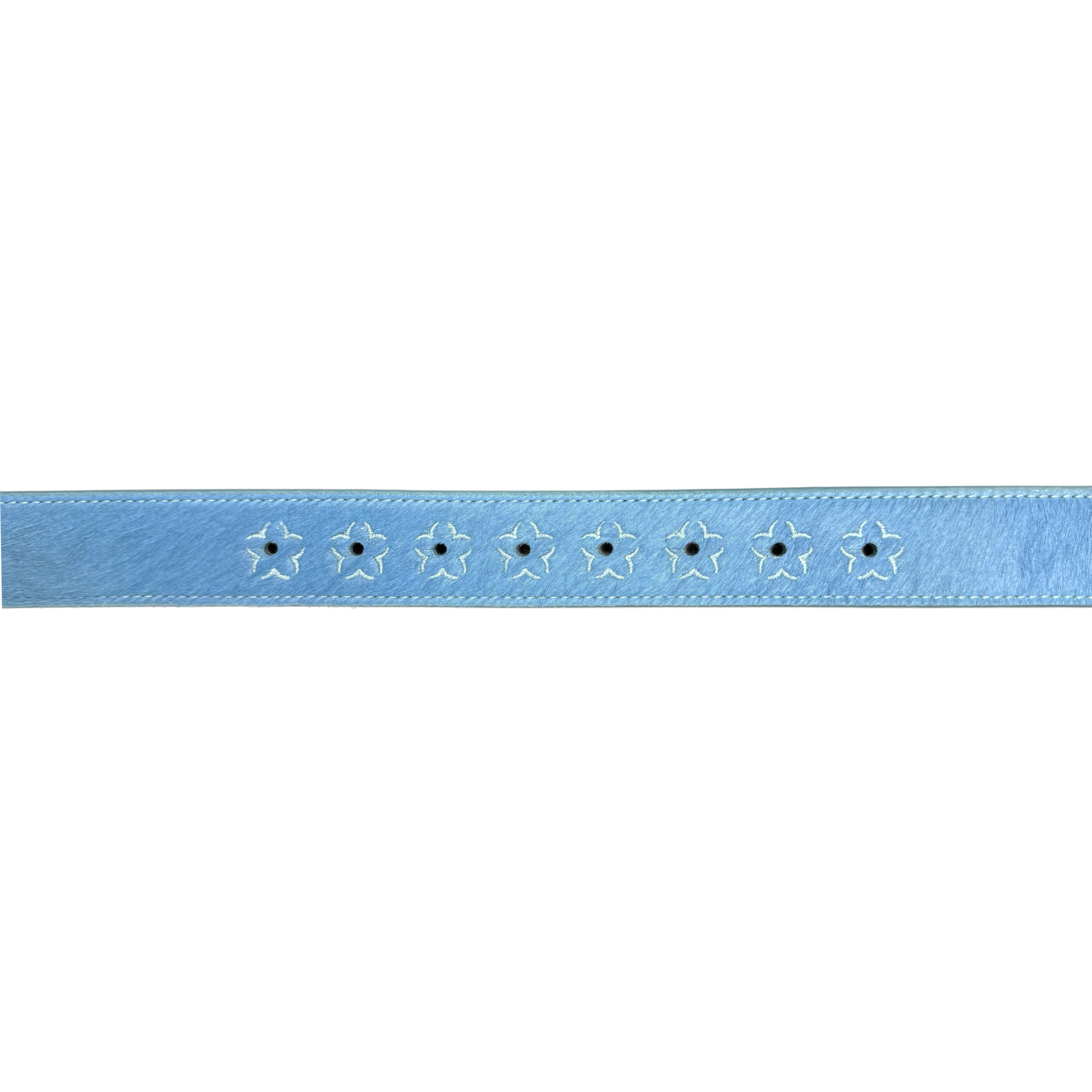 BLUE STAR BELT x RRO